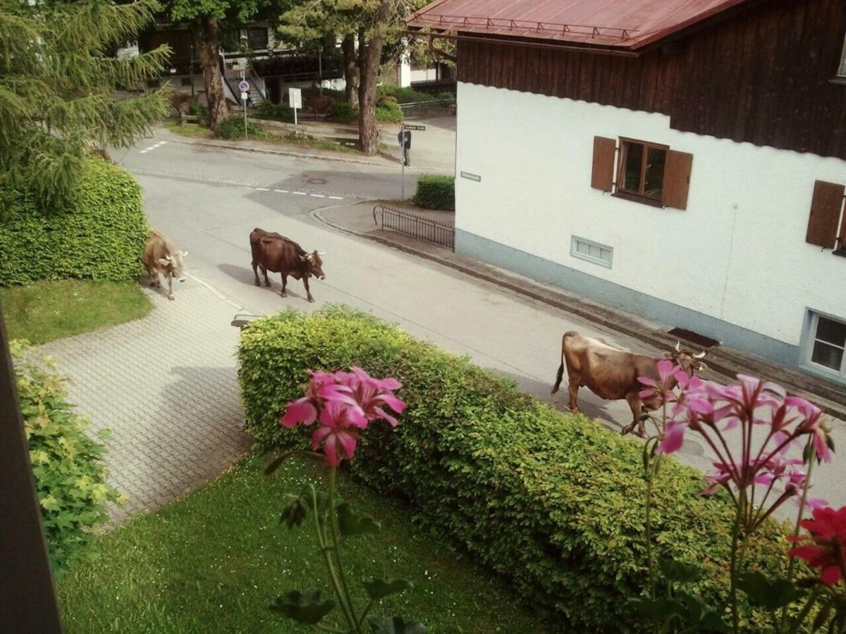 Ferienwohnung Bergblick - Allgaeublick Bad Hindelang Eksteriør bilde